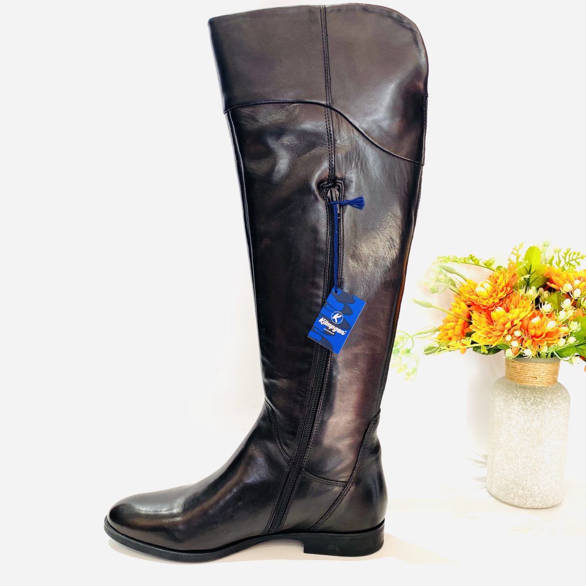 Nexus Shoes